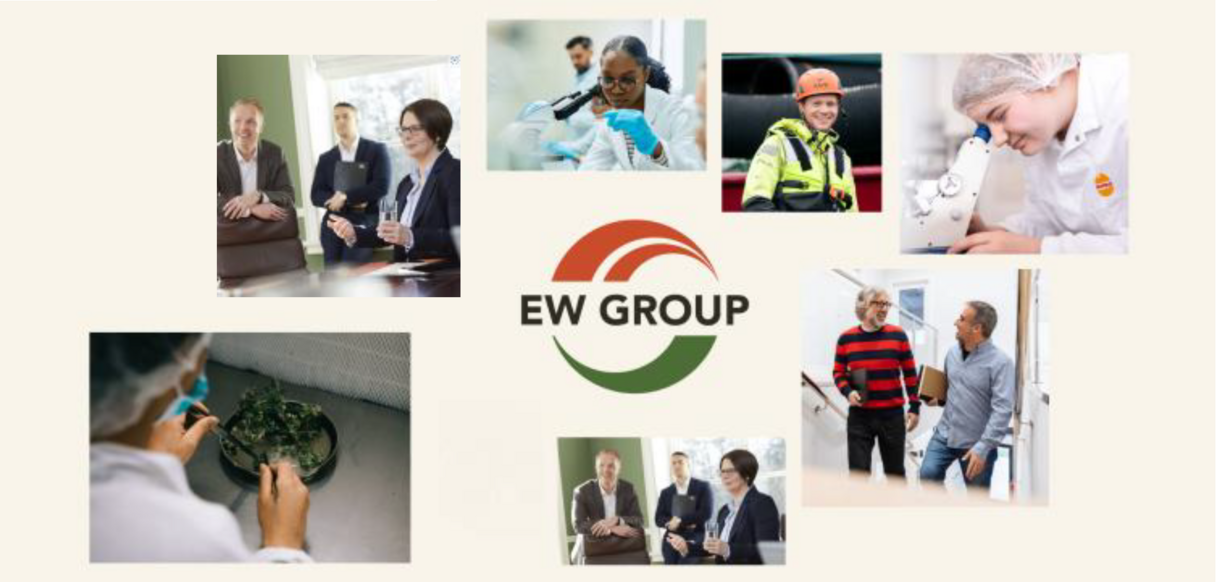 EW GROUP Kerngeschäft